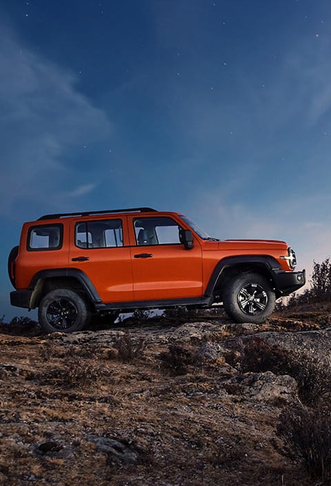 Electronically-controlled mechanical front and rear differential locks.